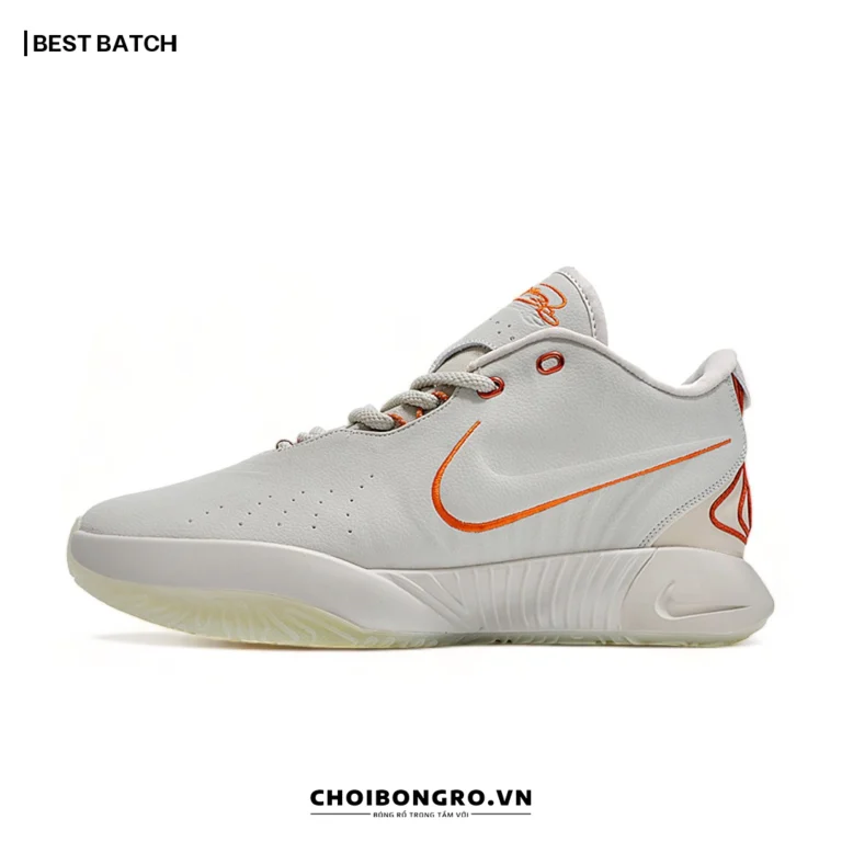 Nike LeBron 21 'Akoya'
  FV2346-001 Replica