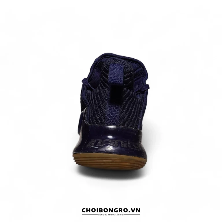 Giày bóng rổ cũ chính hãng PEAK Tony
  Parker VI E83323A - Hình ảnh 3