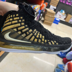 Lebron 17-40-FAKE-100